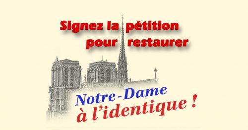 tgrfe-1024x536-1-500x262